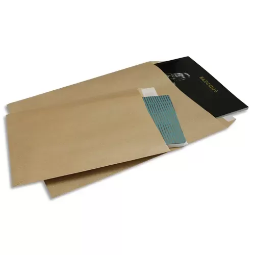 BONG Paquet de 50 Enveloppes kraft  auto-adhésives 90g format 162x229mm C5