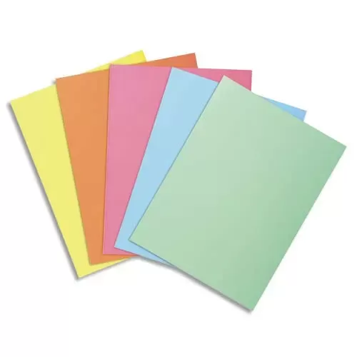 EXACOMPTA 250 Sous-Chemises SUPER 60 en carte 60 g Assorti PASTEL 850000E