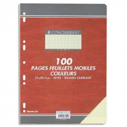 CONQUERANT 100 Feuilles Copies Simples Séyès Grands Carreaux 21×29.7 cm JAUNE