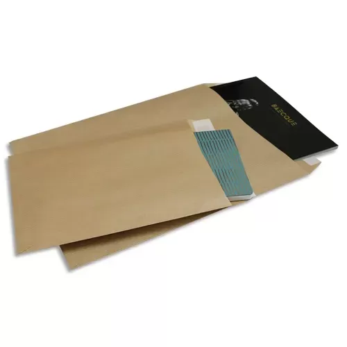 BONG ou MailMedia 50 Enveloppes kraft  auto-adhésives 90g format 162x229mm C5