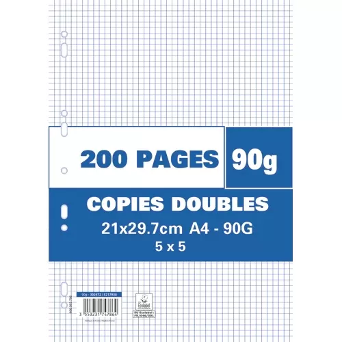 200 Copies Doubles Format A4 Petits Carreaux 5×5 90g Perforées